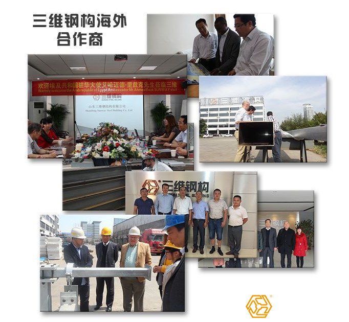 鋼結(jié)構(gòu)料倉(cāng)出口案例 鋼結(jié)構(gòu)料倉(cāng)出口案例